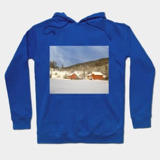 Winter Wonderland Hoodie